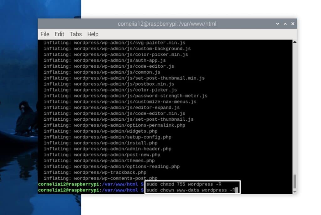 Permissions commands to install WordPress on Raspberry Pi.
