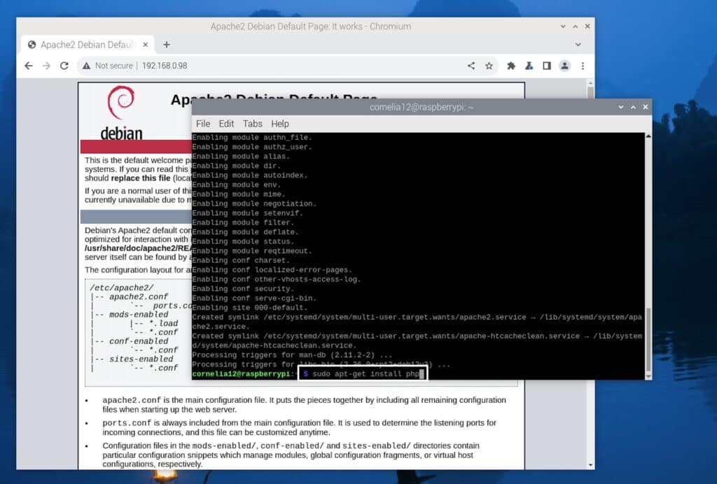 Install php command.