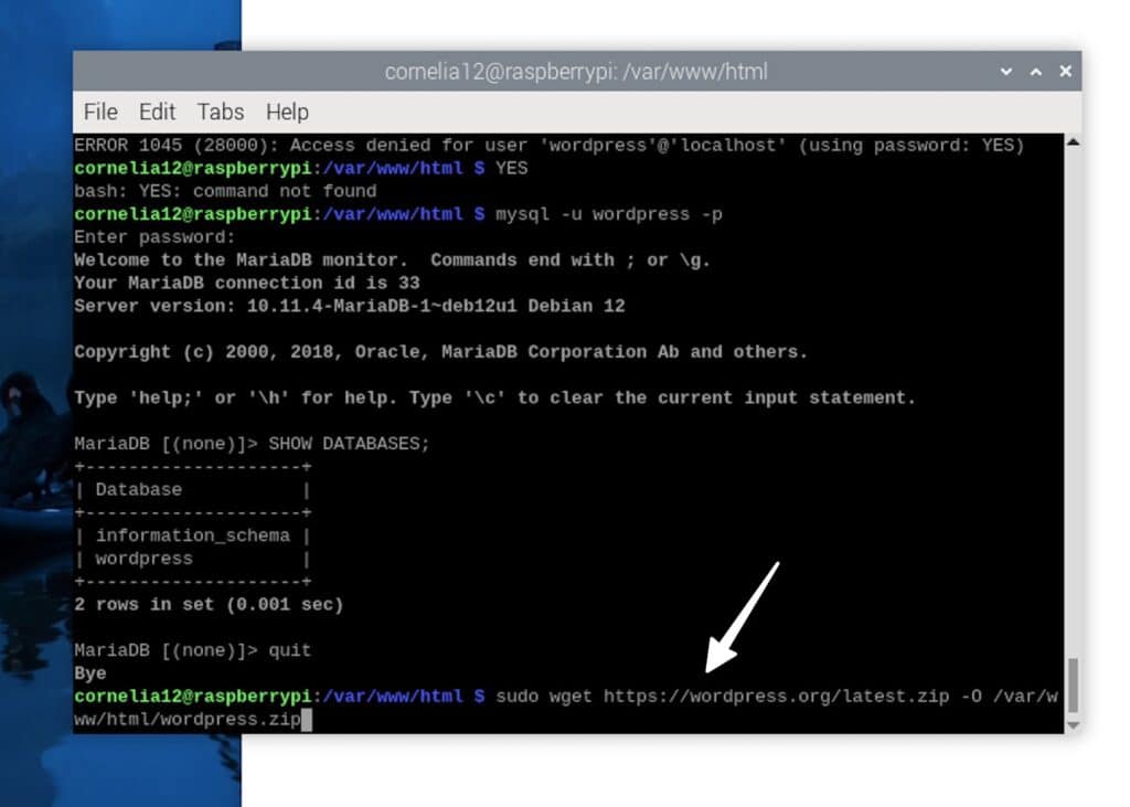 Install WordPress on Raspberry Pi.