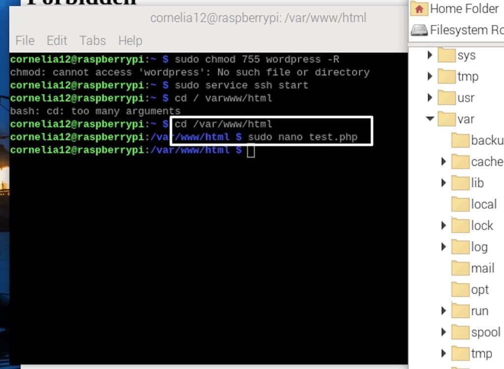 Nano test command to install WordPress on Raspberry Pi.