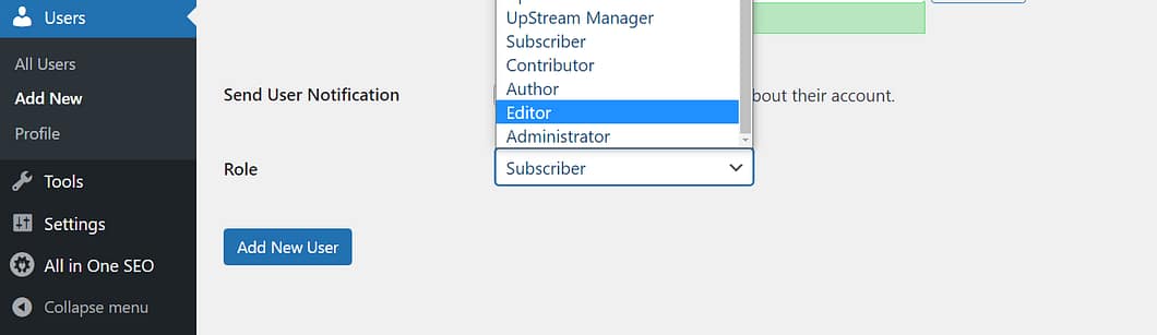The editor user role in WordPress