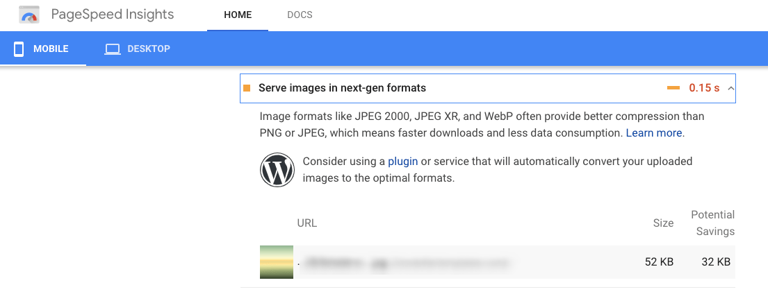 Google PageSpeed Insights - Image Format