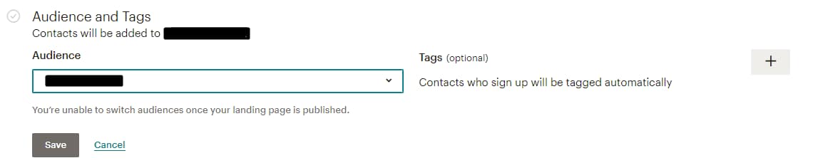 Choosing audience and tags