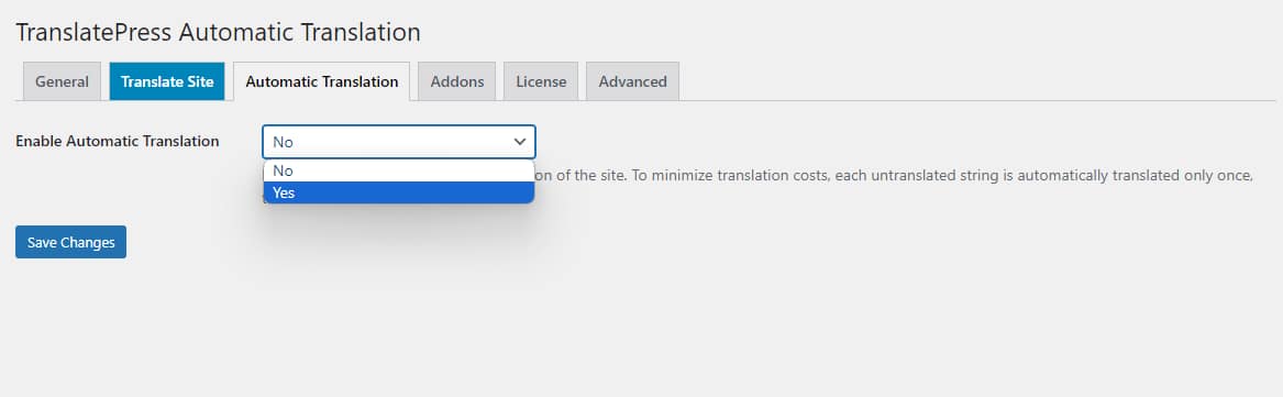 Enabling automatic translation for your WordPress multilingual site.