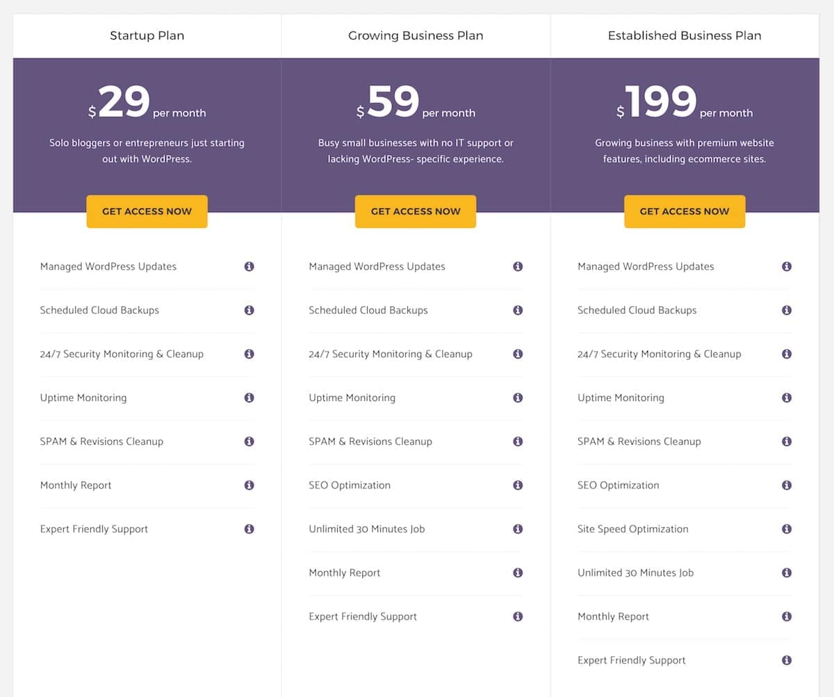 WP Team Support pricing