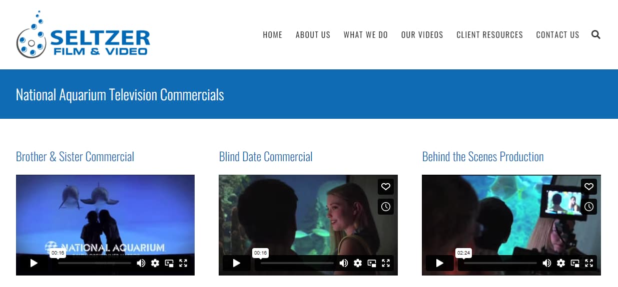 Seltzer's WordPress video gallery.