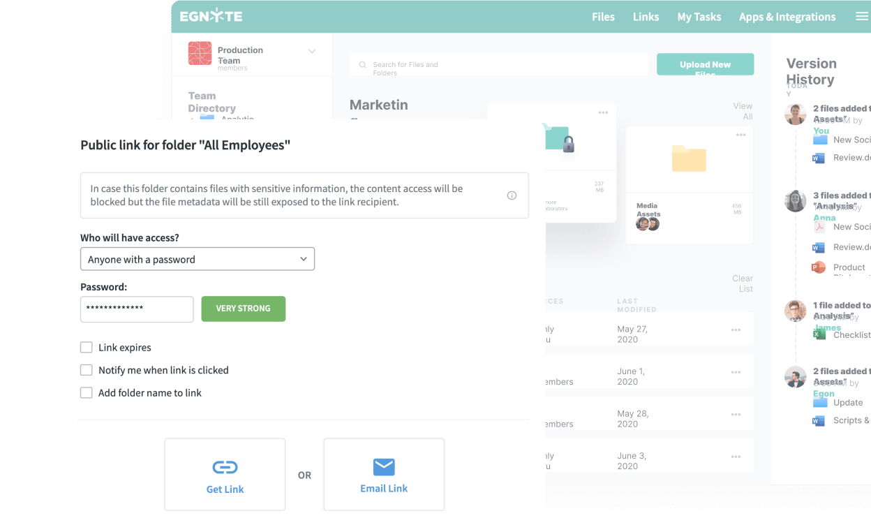 The Egnyte homepage.