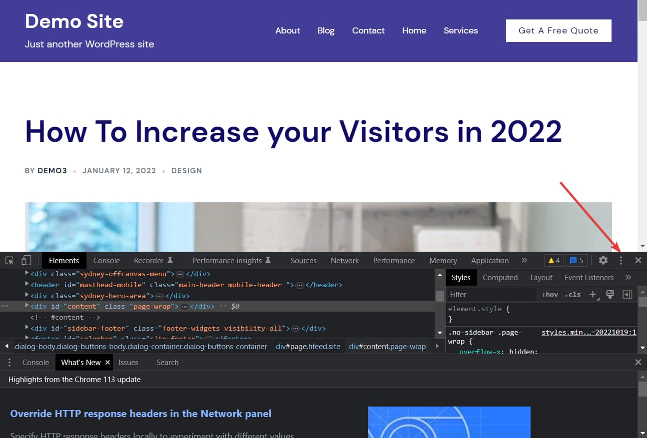 developer console three dot option - how to hide page titles in WordPress.