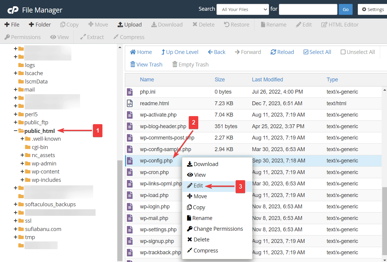 editing wp-config in file manager.