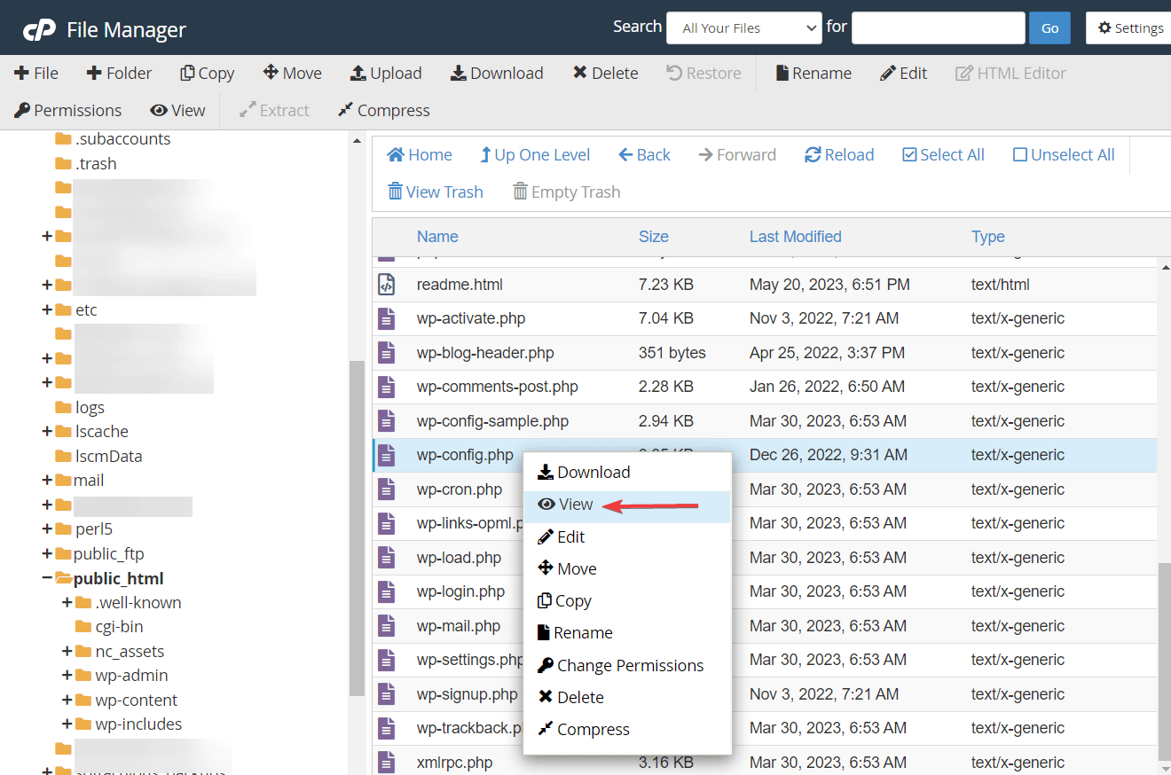view option on wpconfig file.