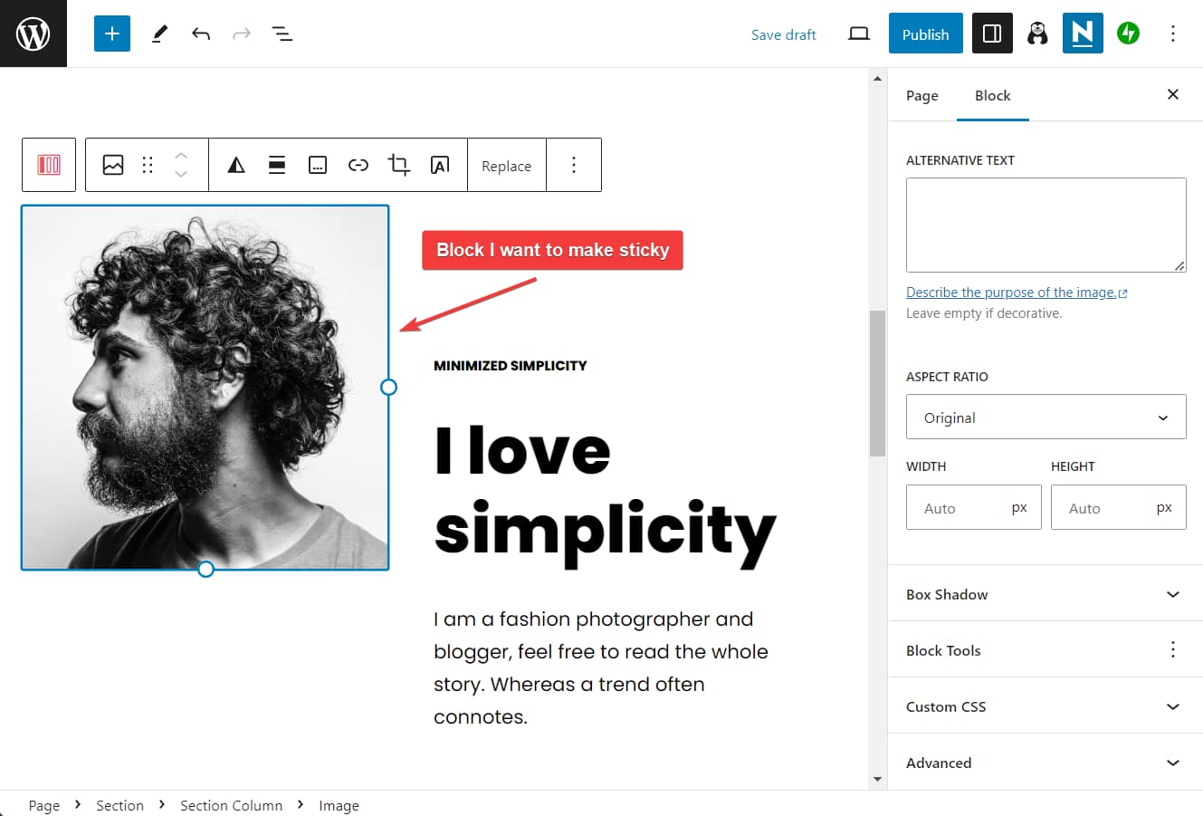 a block on gutenberg editor.