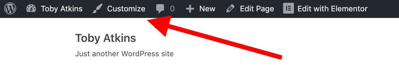 WordPress customize.