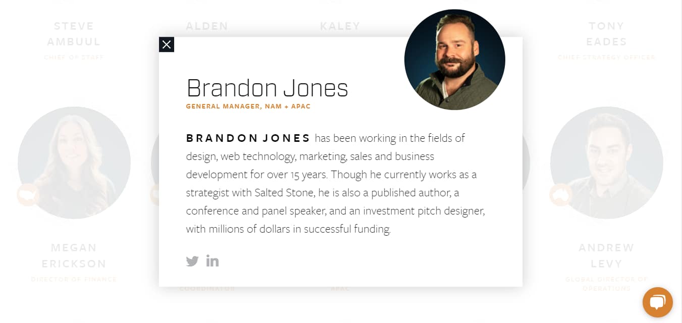 SaltedStone's meet the team page