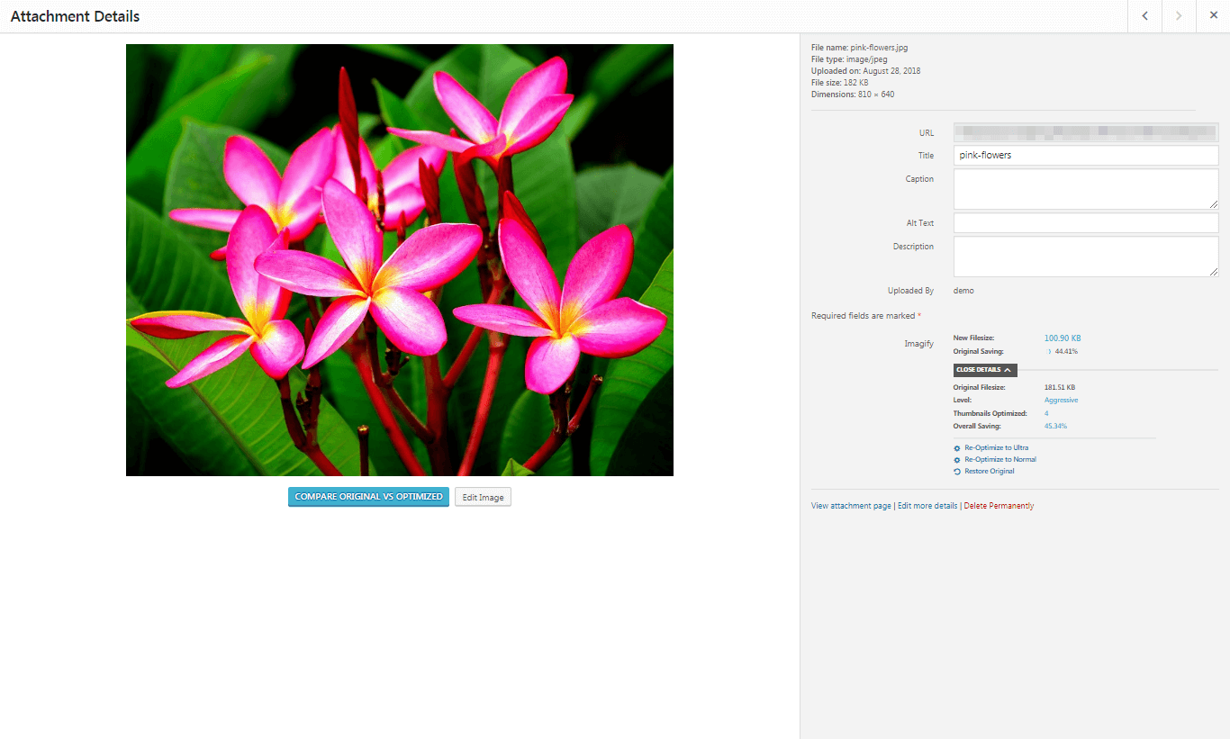 Optimizing an image using Imagify.