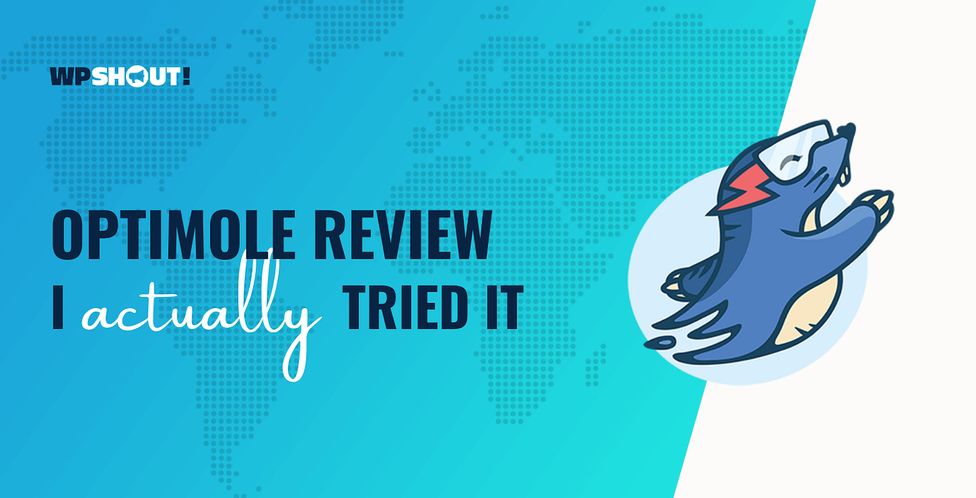 Optimole Review