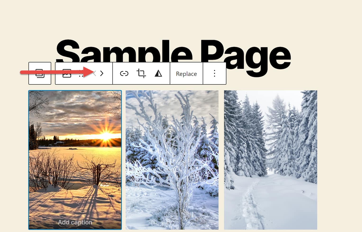 How to create a gallery in WordPress: gallery block with the image editing options open and a red arrow pointing to the move image tool