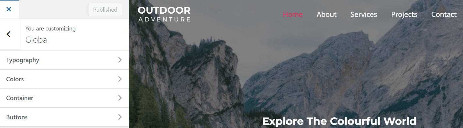 Astra Global Styles.