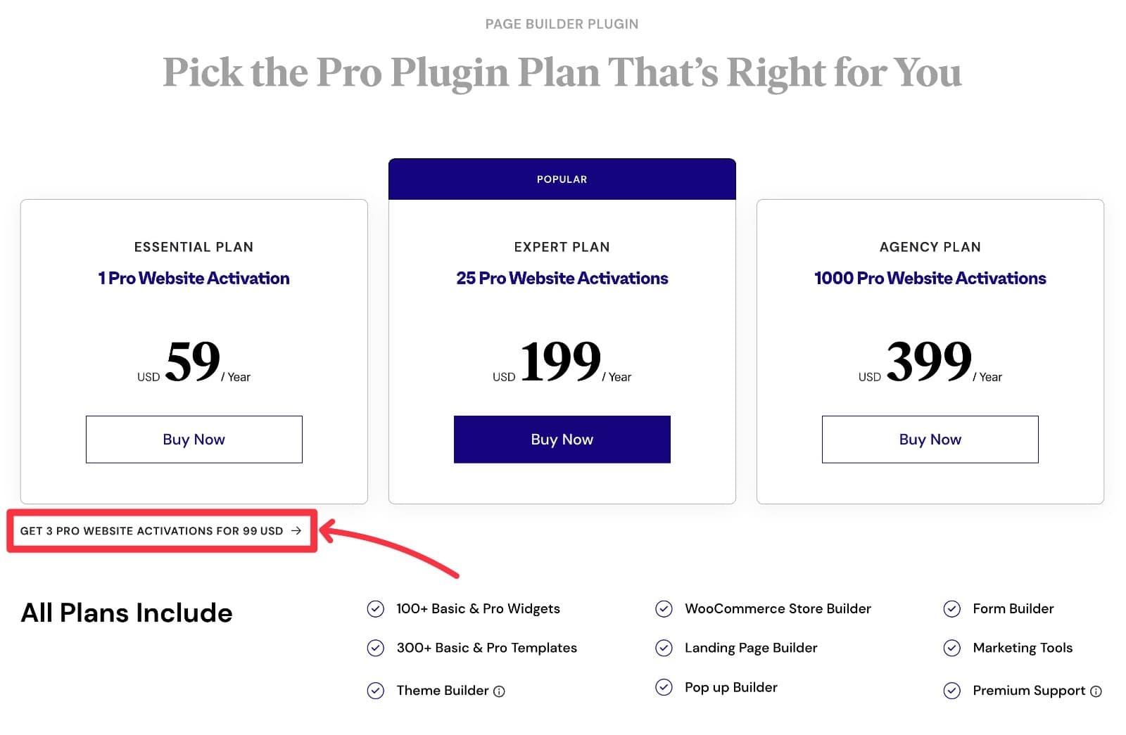 Elementor Pro review of pricing options