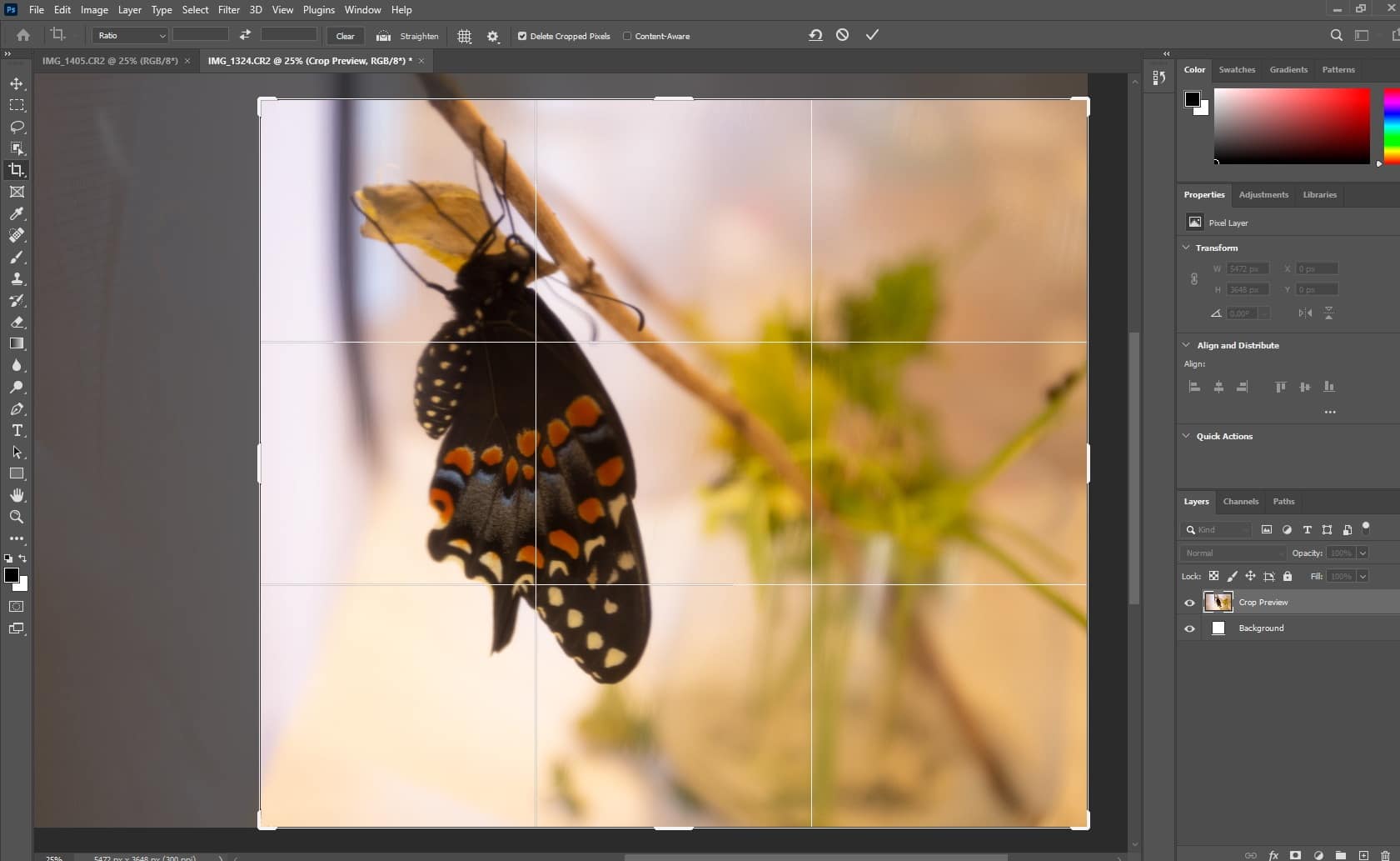 photo cropping in photoshop - Photoshop vs Illustrator vs InDesign
