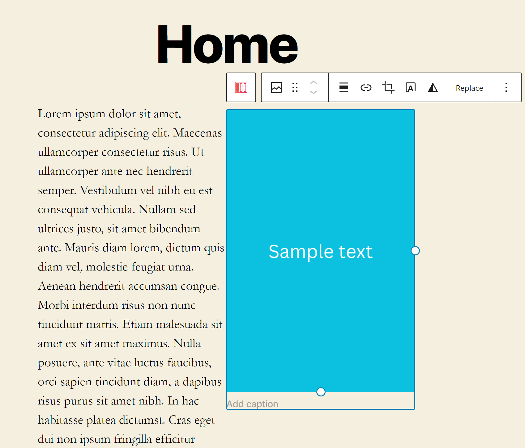 Otter Blocks Section example.
