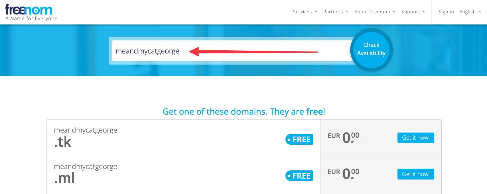 freenom check domain