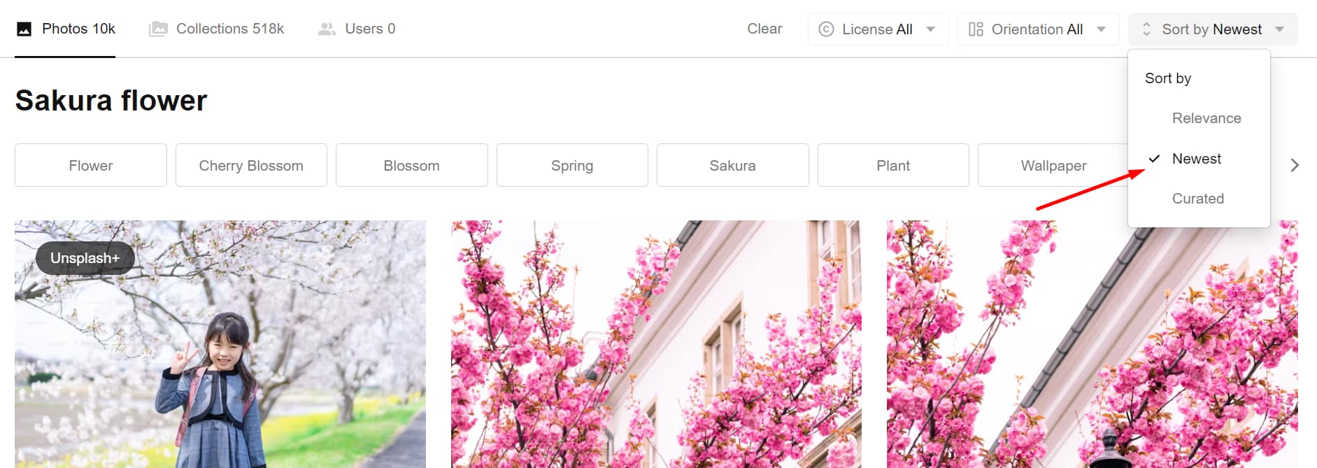 Unsplash is another website that offers free images for blogs.