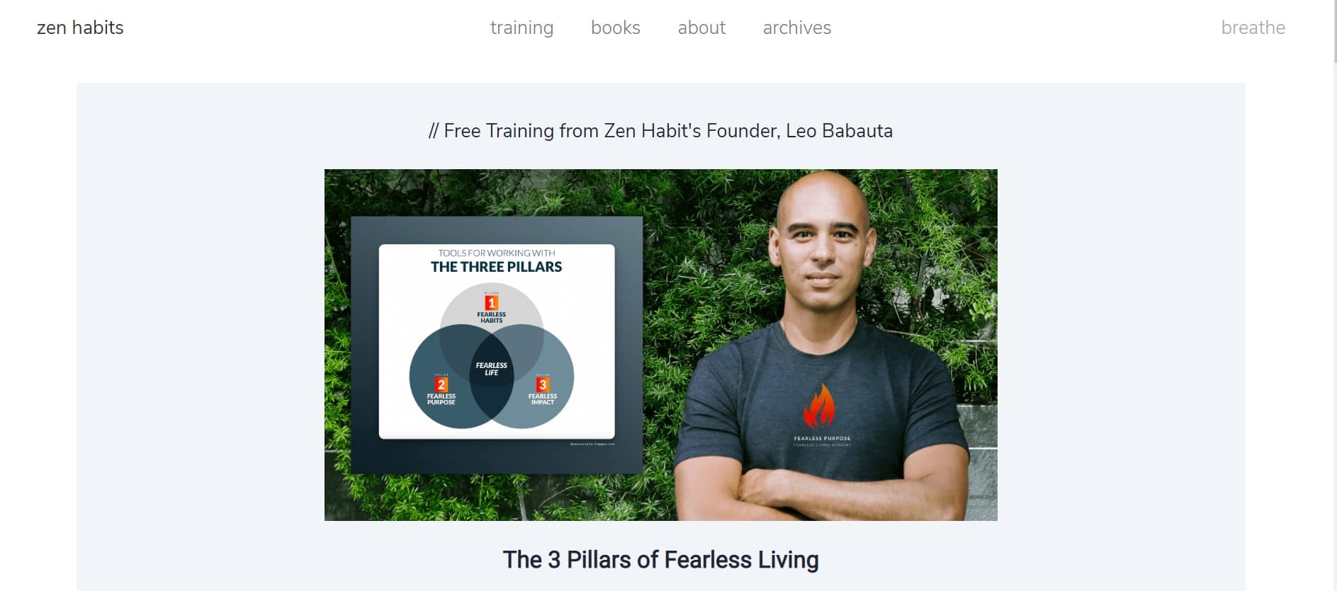 Zen habits homepage, how to choose a blog name article.