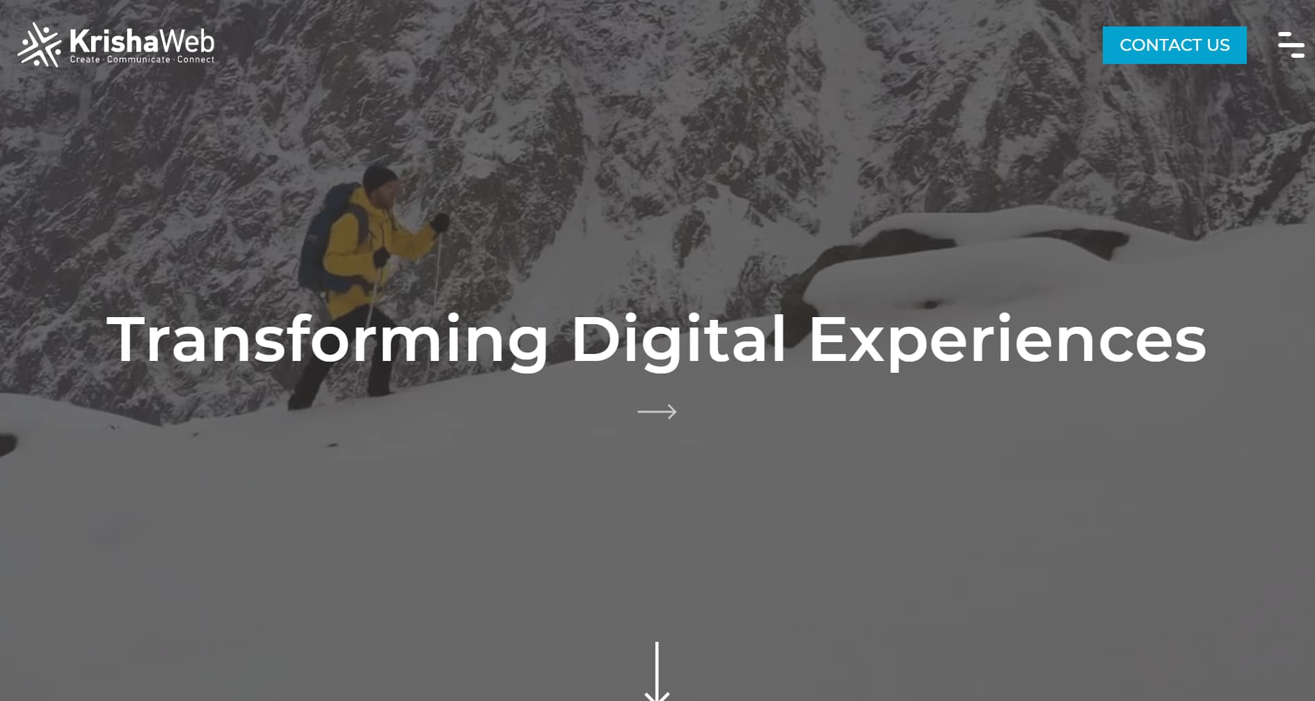 Best WordPress agencies: KrishaWeb