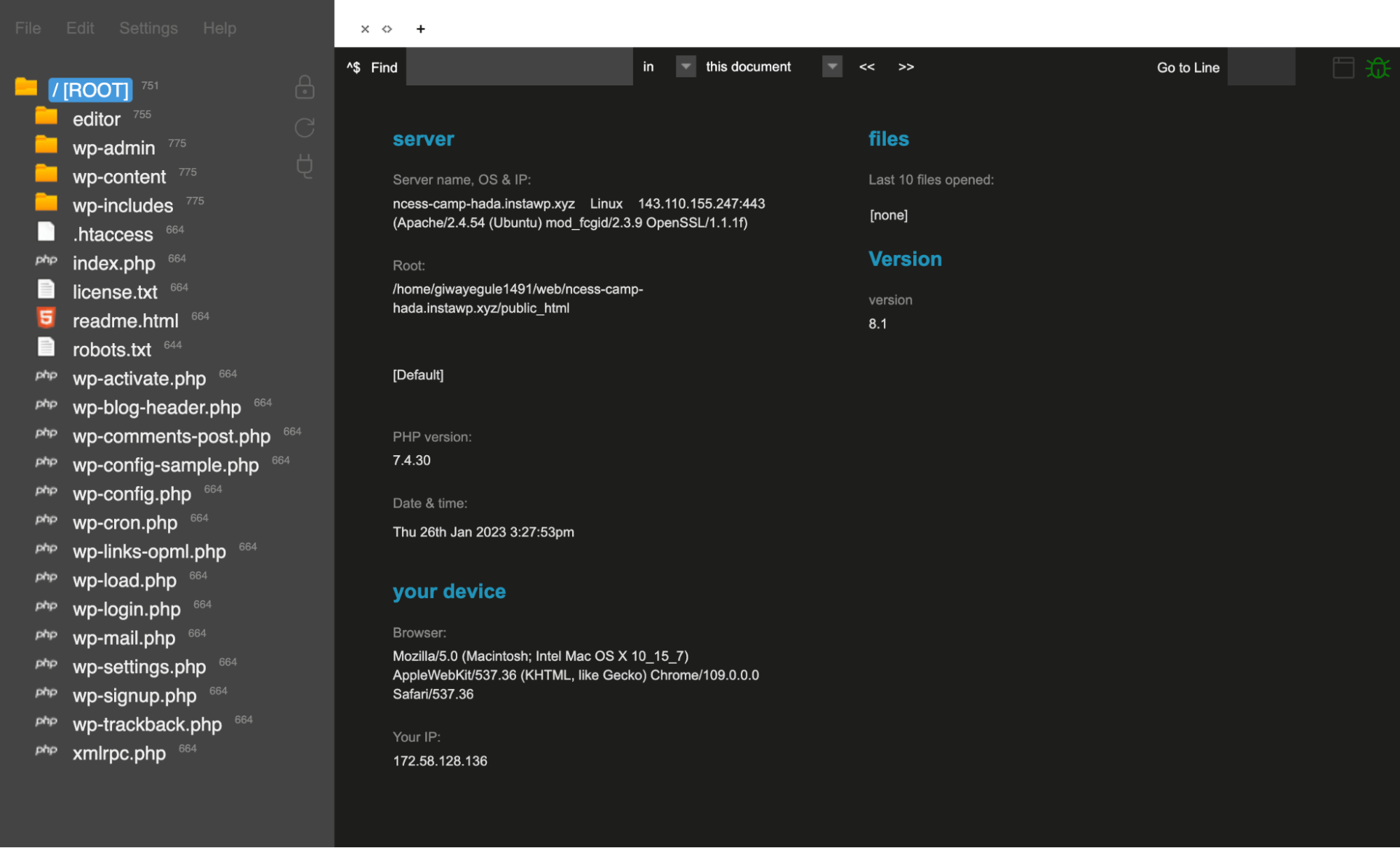 InstaWP review: code editor