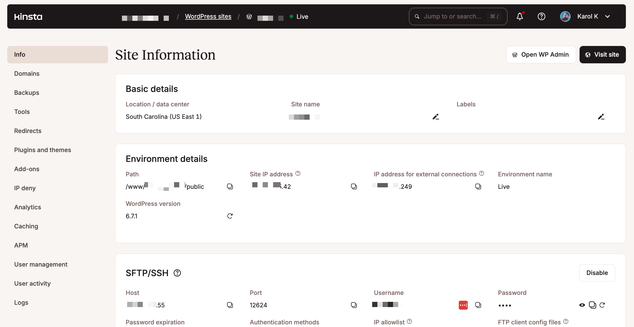 Kinsta hosting panel 2