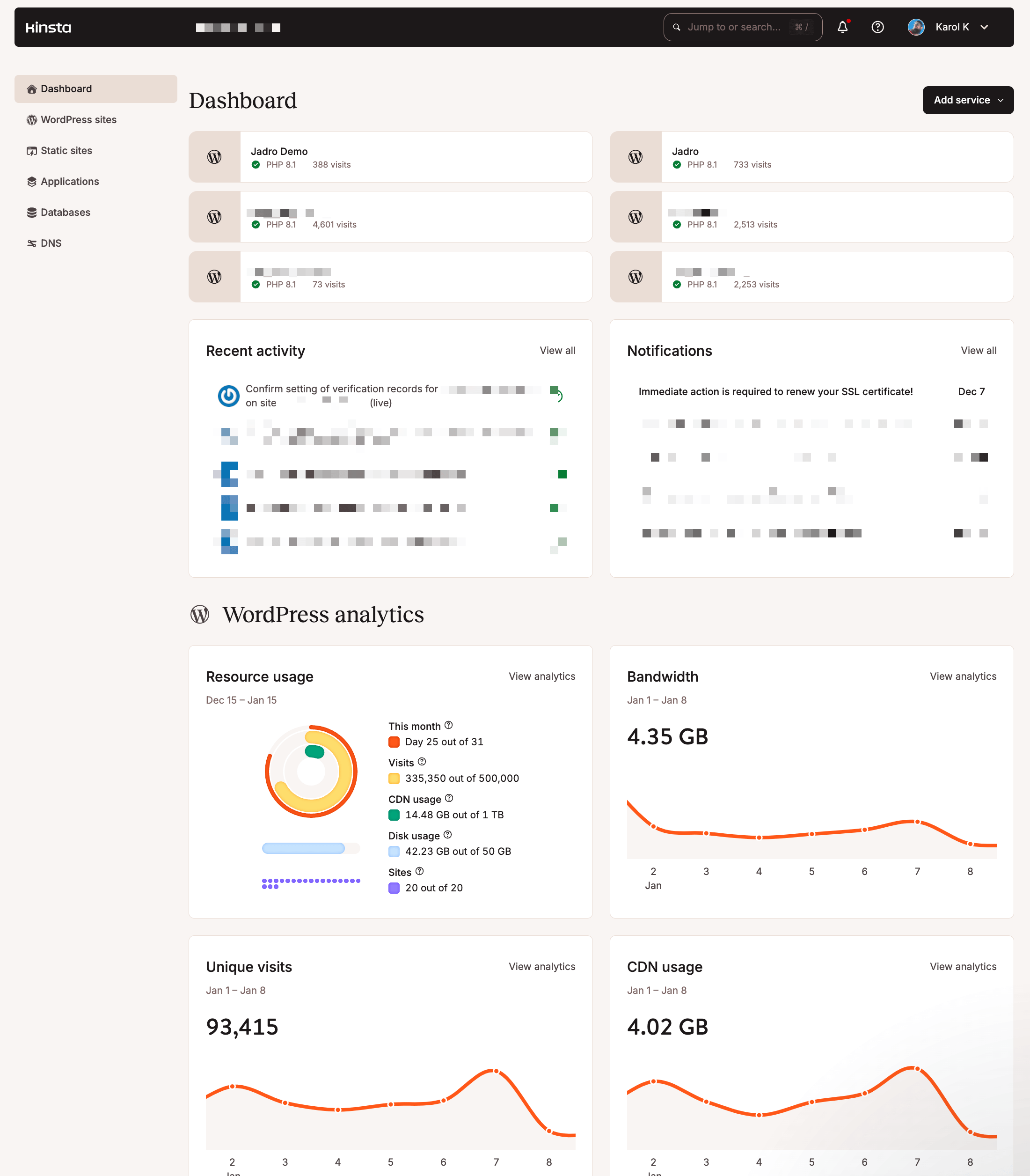 Kinsta hosting panel 1
