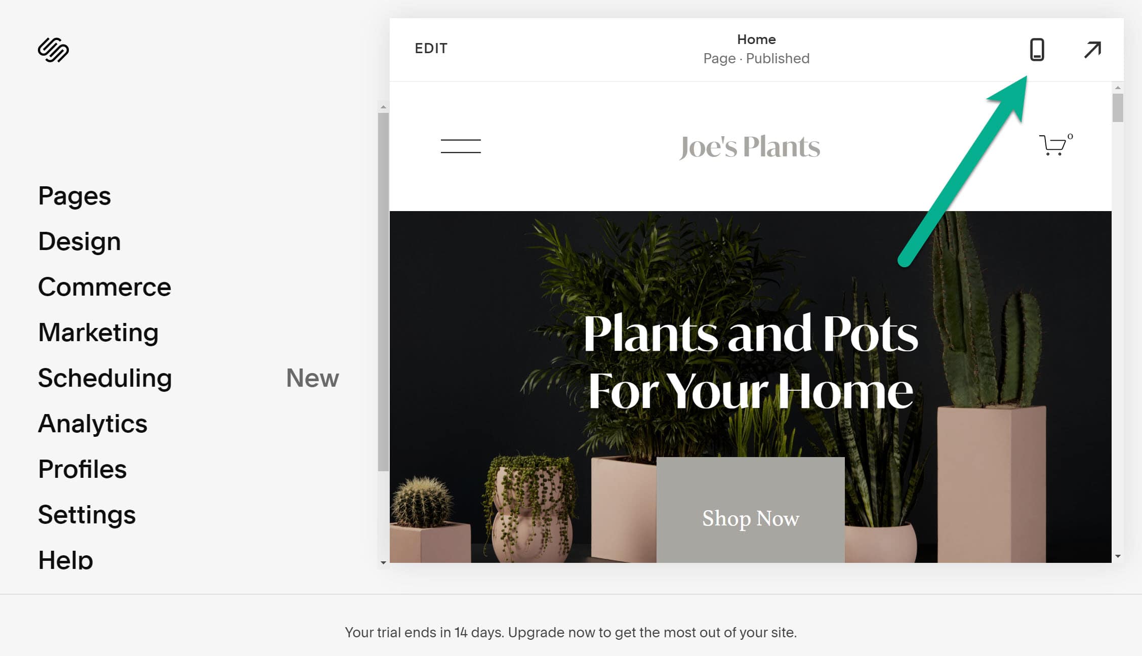 new views - Squarespace tutorial