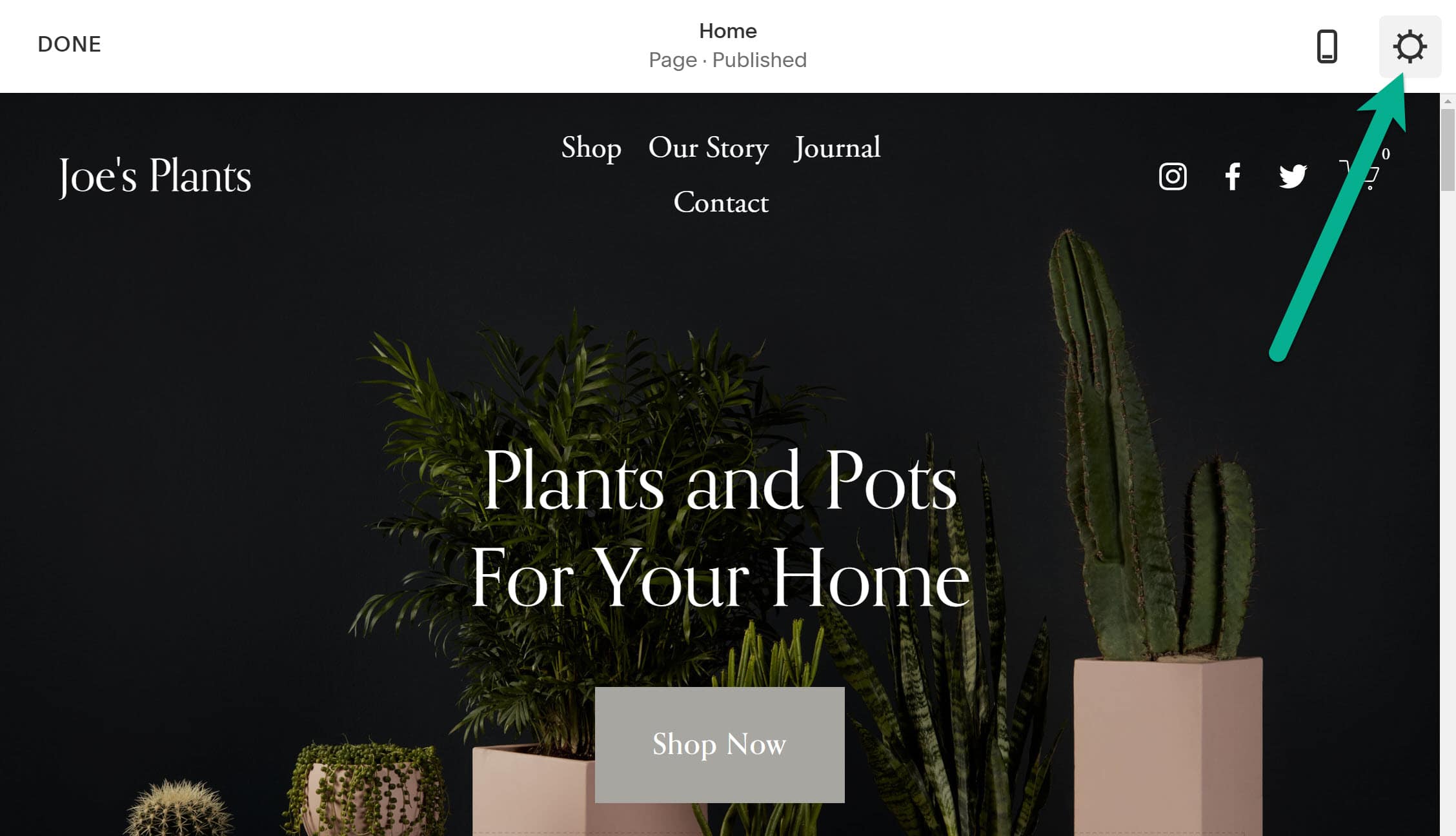 settings - Squarespace tutorial