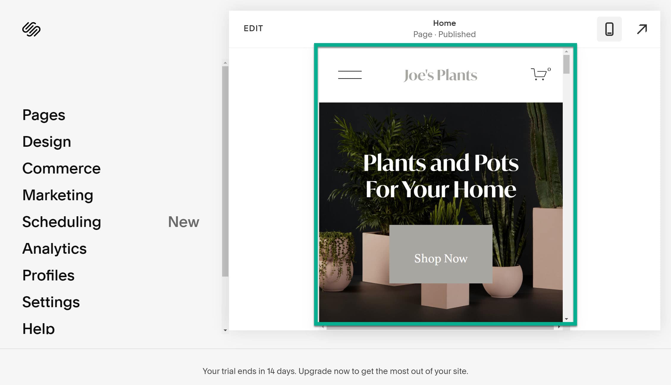 mobile - Squarespace tutorial