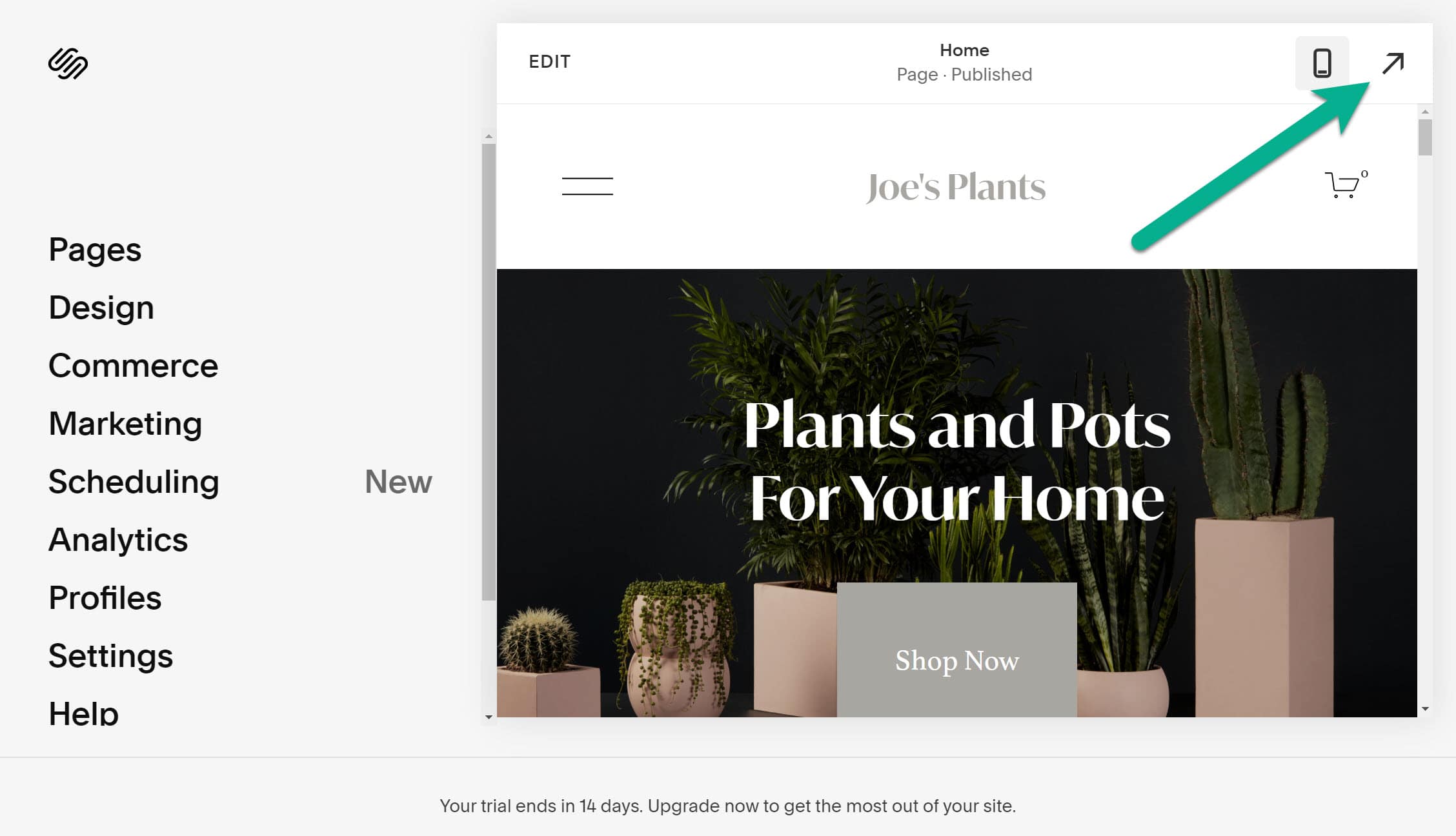 preview - Squarespace tutorial