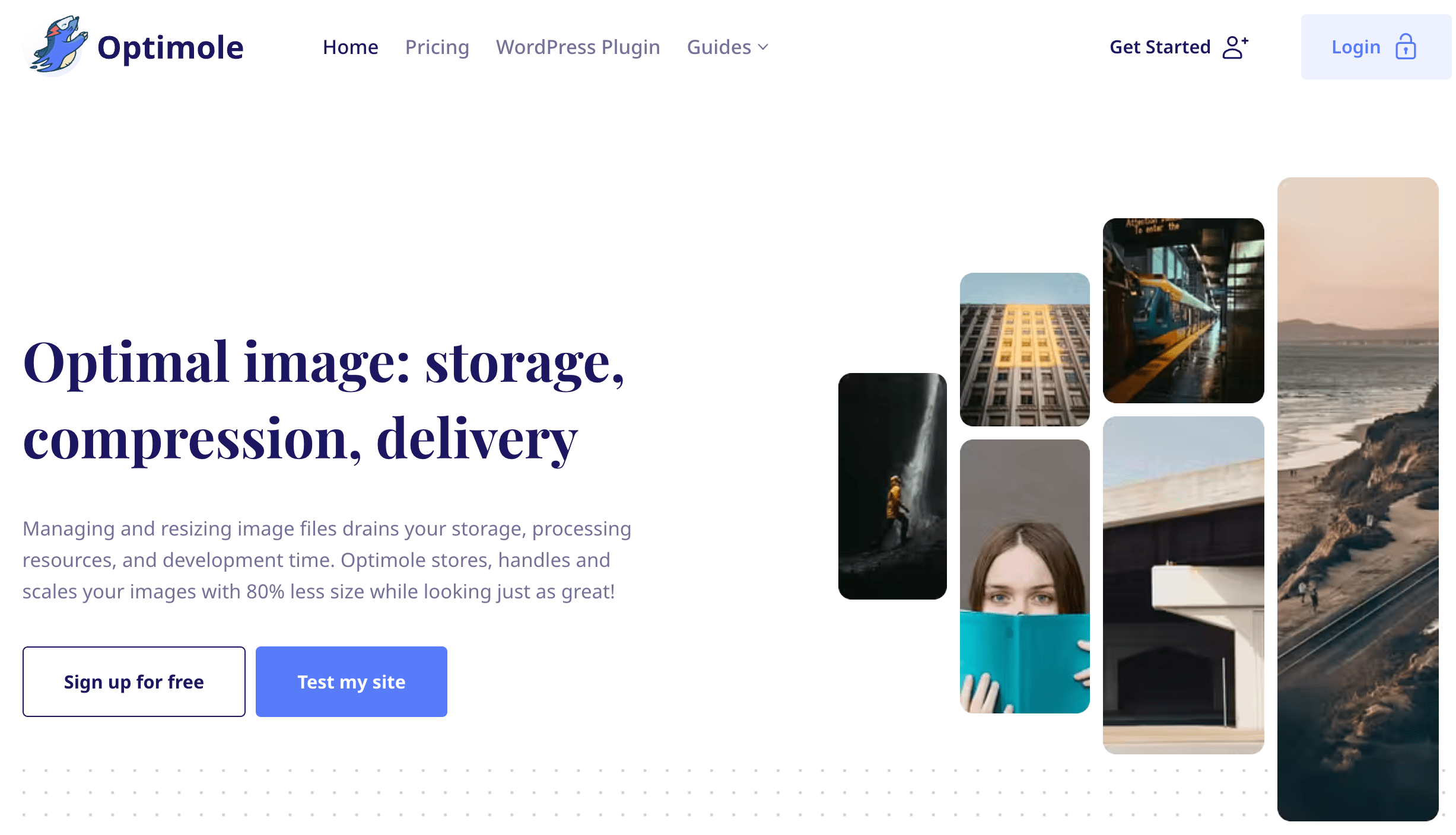 The Optimole plugin.