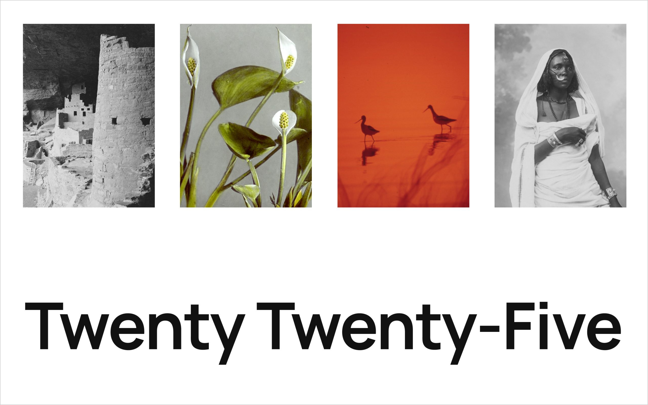 An early preview of the Twenty Twenty-Five default WordPress theme