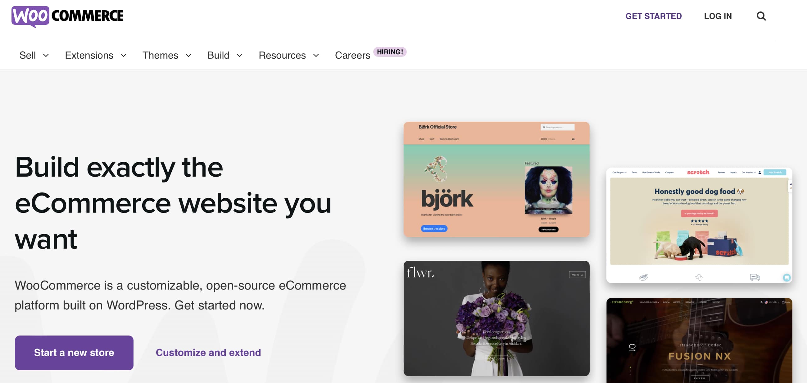 Average cost of website design for small business, cost of the WooCommerce plugin.