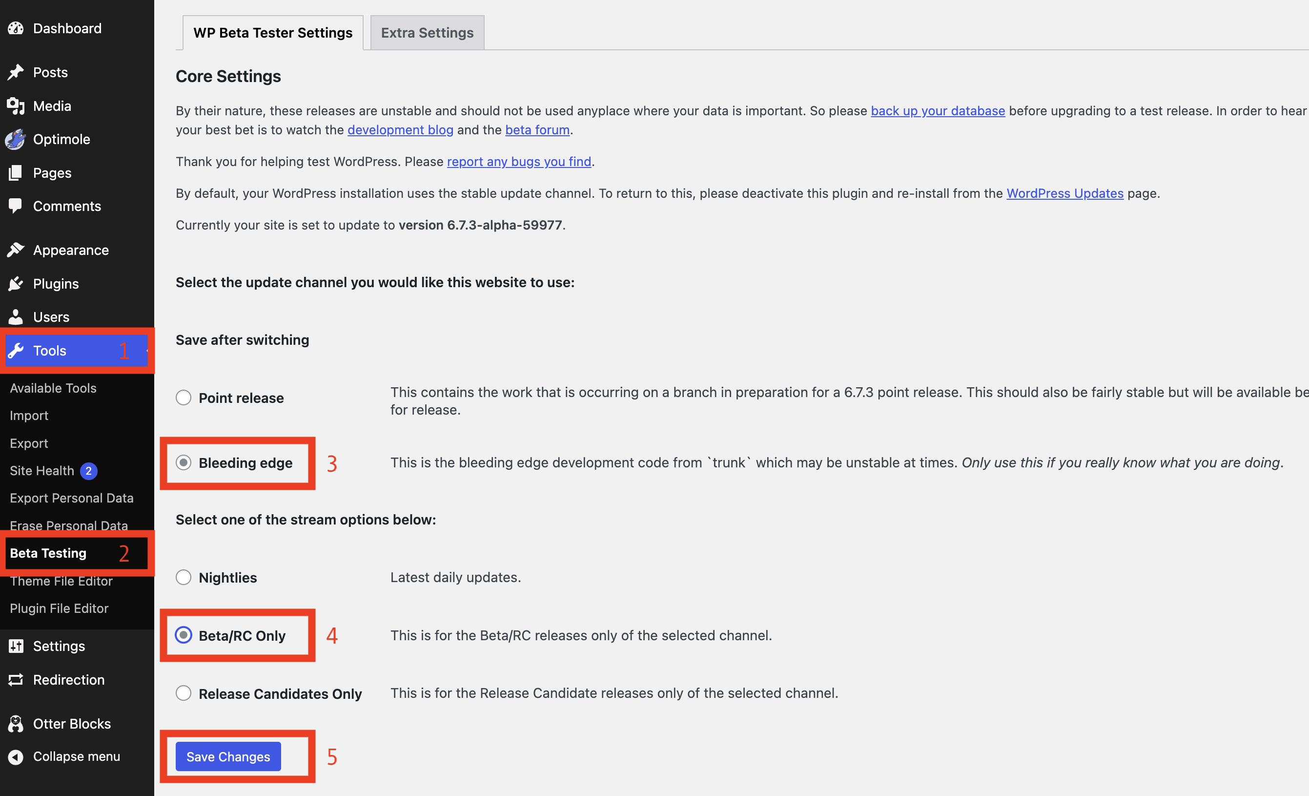 Adjusting settings on WordPress Beta Tester plugin.