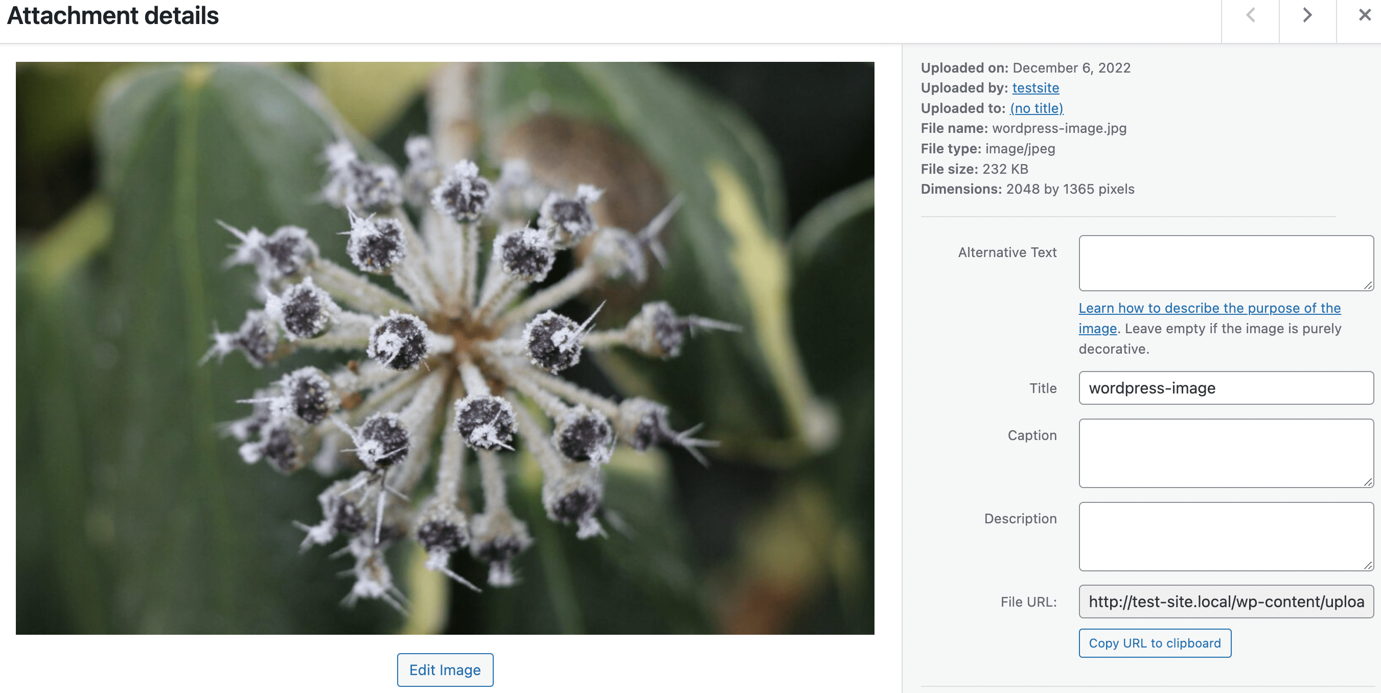 WordPress image attachment details.