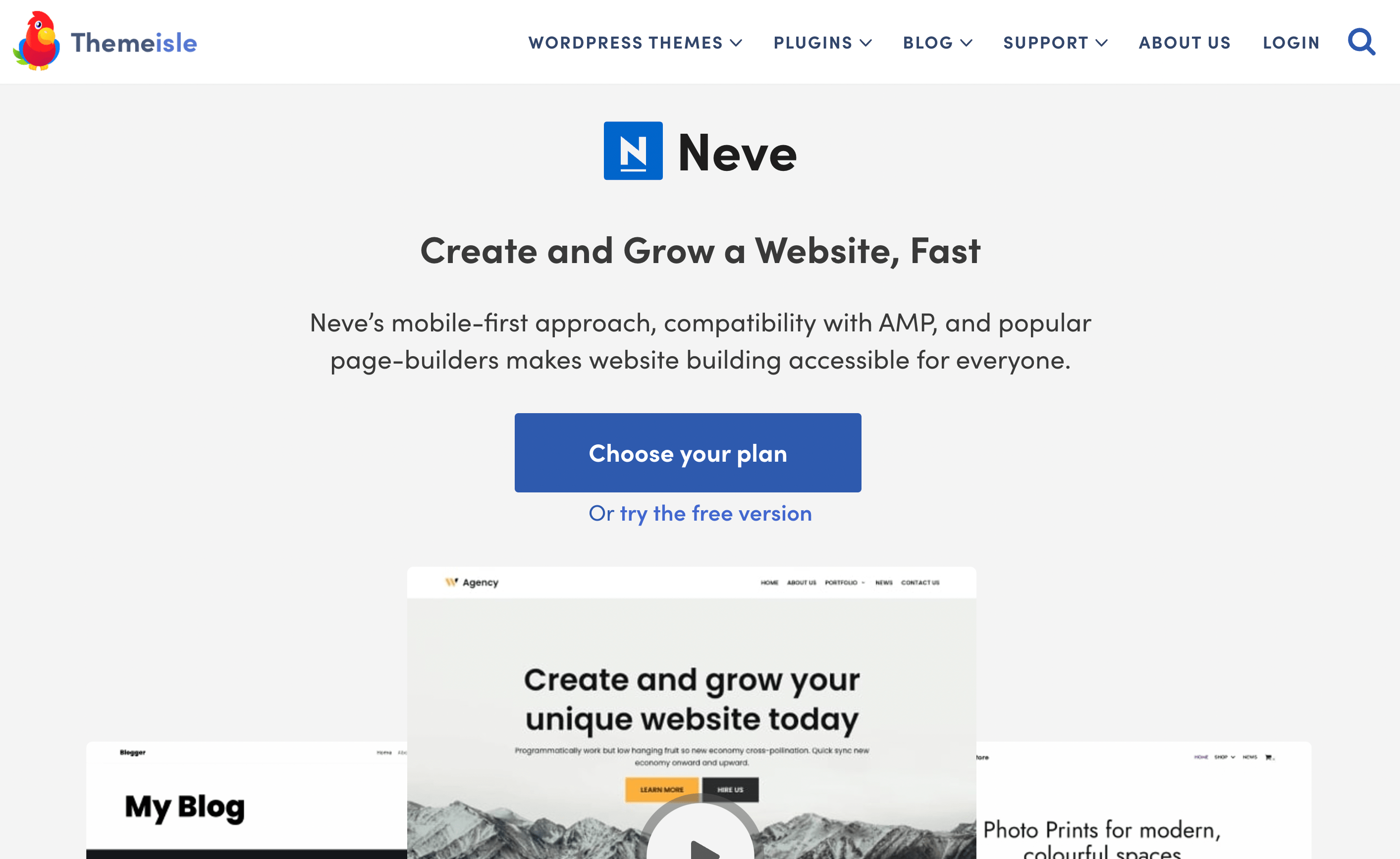 The Neve theme is one of the best Elementor alternatives.