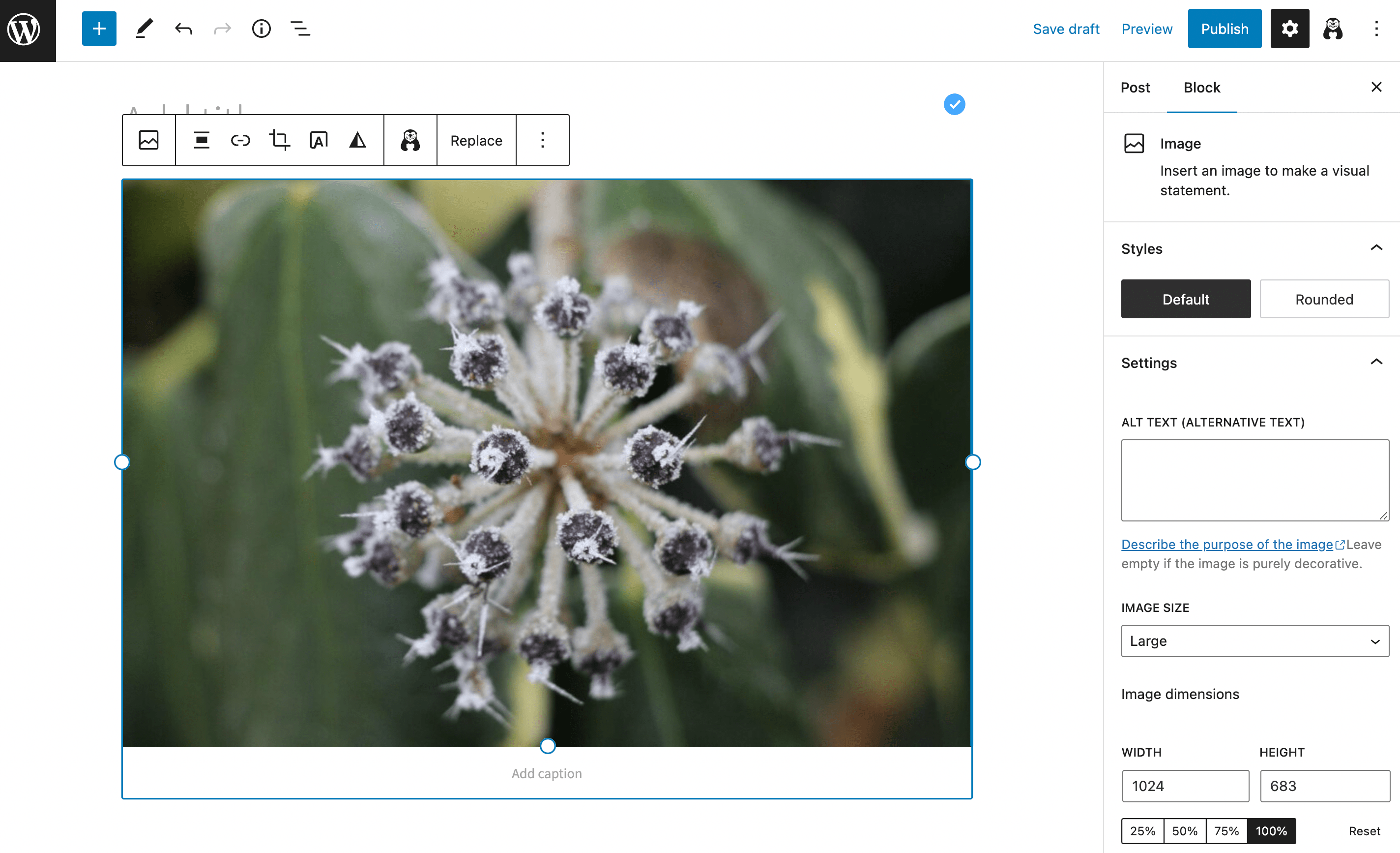 What is digital accessibility: Adding alternative text in the WordPress Block Editor.