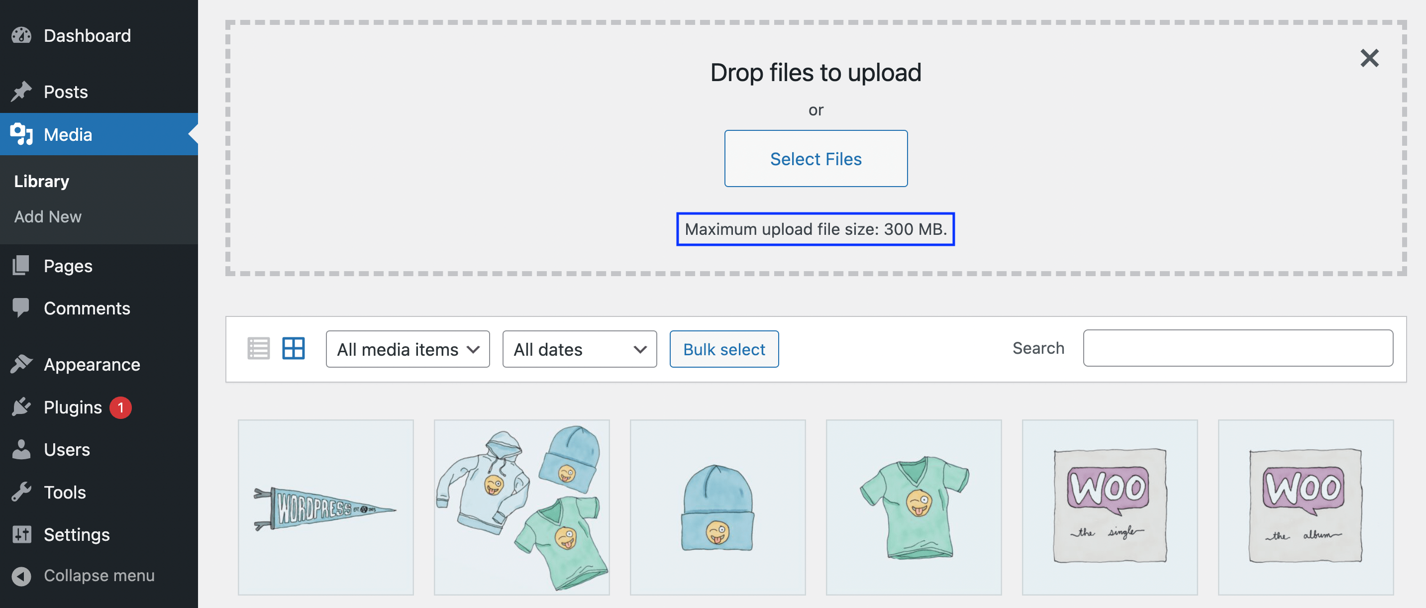 Checking the Maximum upload file size in WordPress.