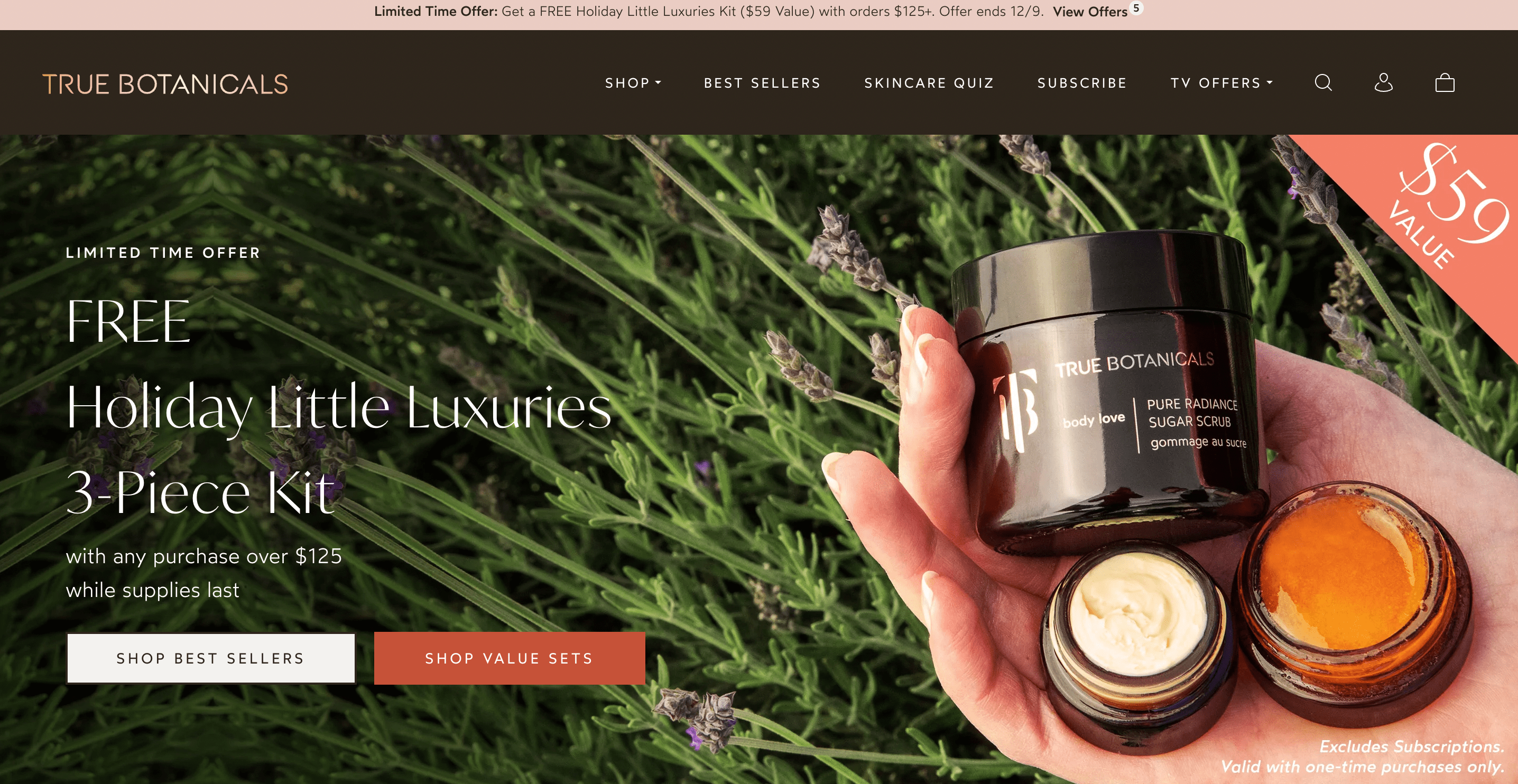 A limited-time free gift promotion on a website - never fails as Christmas promotion ideas.