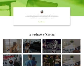 An Insurance Homepage view