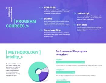 Studiex template example