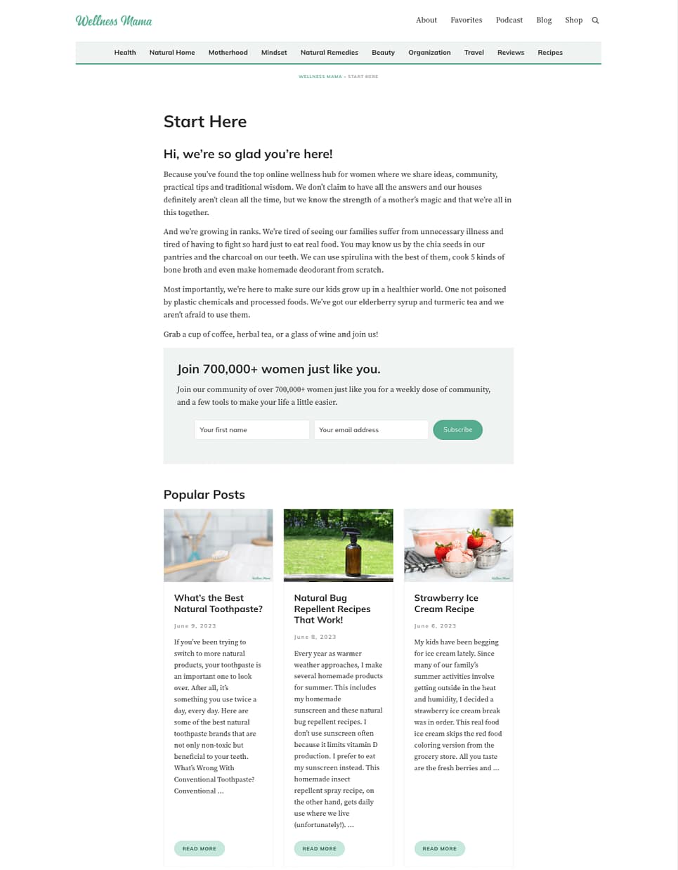 What WordPress Theme Does Wellnessmama Use: Uncover Now