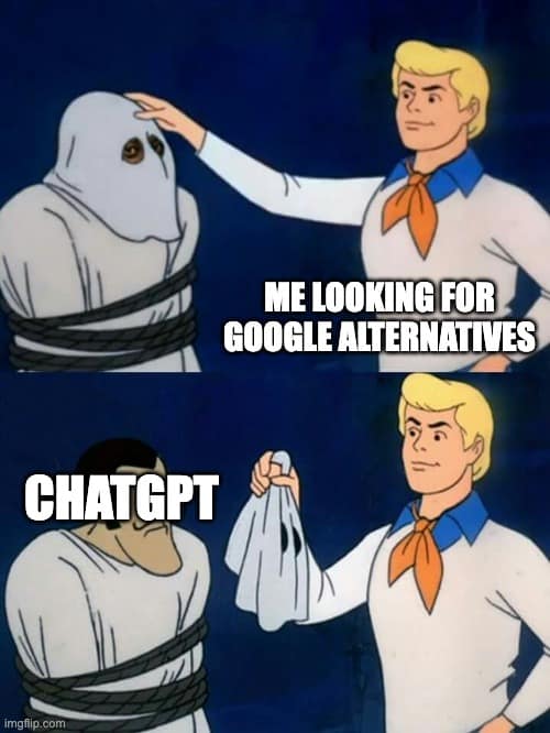 me looking for Google alternatives