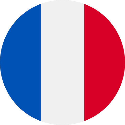 France flag