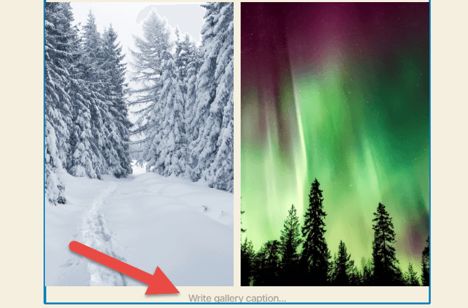 How to create a gallery in WordPress: Gallery block selected with a red arrow pointing at the "Write gallery caption" area at the bottom of the block